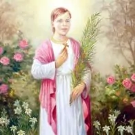 Santo do Dia - Bem-aventurada Albertina Berkenbrock: a mártir da pureza do Brasil