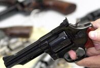 Projeto que autoriza estados a legislarem sobre armas de fogo é aprovado