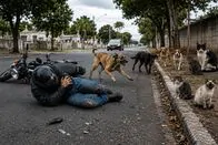 Cachorro solto na Avenida da Saudade provoca acidente grave com motociclista