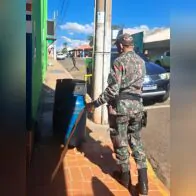 Cobra-cipó em comércio do centro mobiliza PMA em Cassilândia