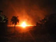 PMA confirma que incêndio na ‘Trilha do Gordinho’ foi queima controlada