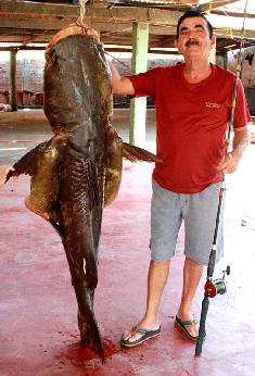 Felipe Corrêa exibe o jaú "gigante" pescado por ele no rio Paraguai.Priscilla Peres