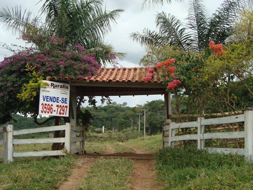 Ruralis está glebas de 29 hectares de fazenda em Cassilândia