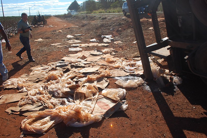 Carga de 28 mil quilos de frango é saqueada em Chapadão do Sul