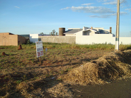 Terreno está sendo vendido (Foto: Ruralis)