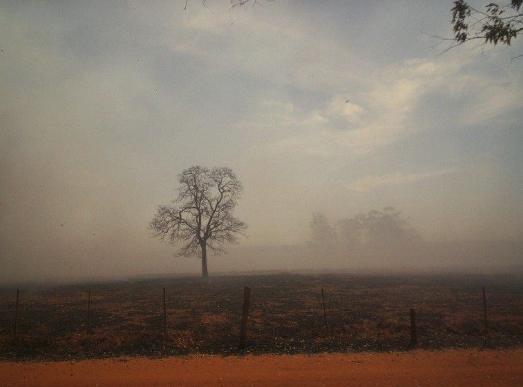 Incêndio invade propriedade rural no km 15 da BR-158 em Cassilândia; veja fotos