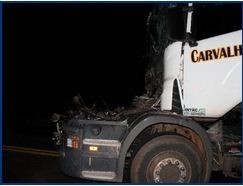 Cabine de carreta foi esmagada com o impacto (Foto: Chapadense News)