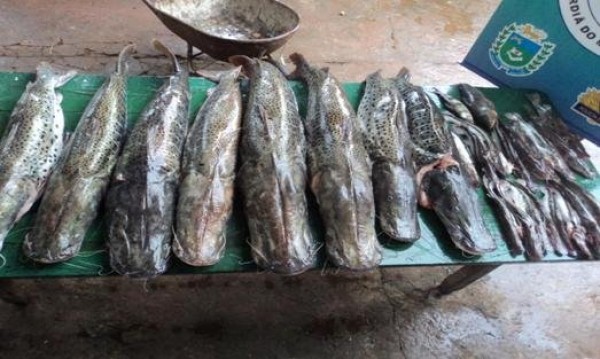 Chapadense é preso com de 108 kg de peixes em Operação da PMA