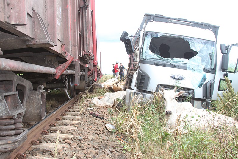Caminhão boiadeiro é colhido por trem em Chapadão do Sul