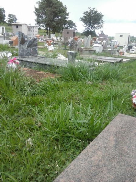 O mato voltou a fazer parte do Cemitério Municipal. (Foto: Gisele Ferreira)