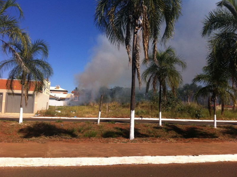 Fotogaleria: terreno está pegando fogo na Juracy Lucas perto da BR-158