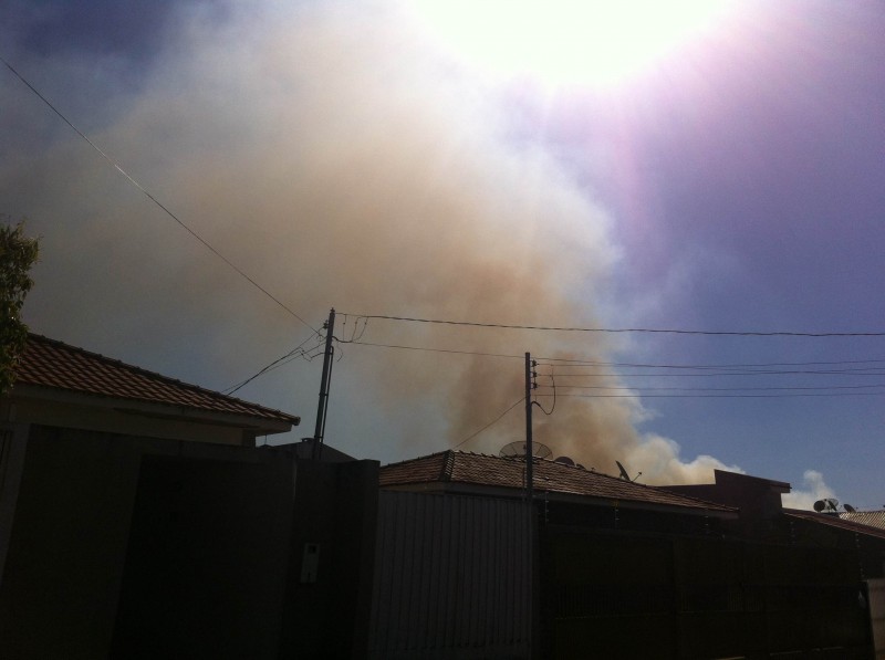 Fotogaleria: terreno está pegando fogo na Juracy Lucas perto da BR-158