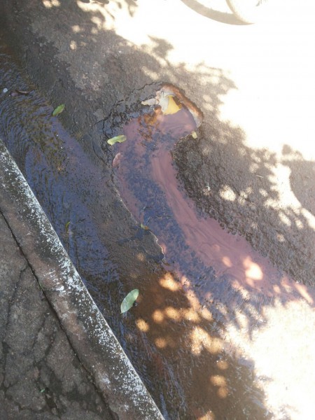 Foto do buraco onde está vazando água da rua Petronilha Fernandes de Jesus 