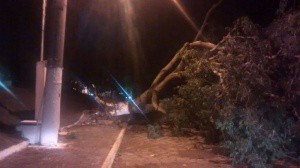 Ruas estão fechadas em função de queda de árvores e parte da cidade está sem energia. (Foto: Marcelo Calazans)