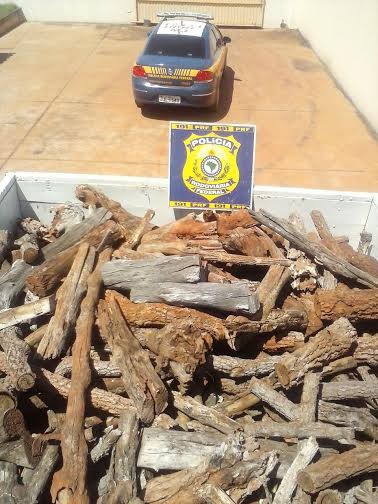 Homens são presos pela PRF por transporte ilegal de madeira