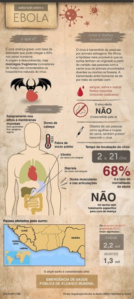 Em alerta, secretário fica “apreensivo” com o 1º caso de Ebola no Brasil