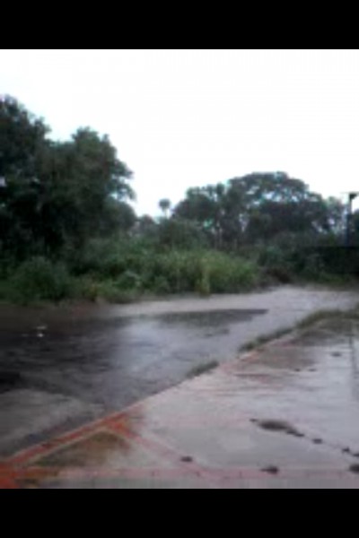 Leitor envia imagens do abandono da rua Januário Barbosa perto de colégio