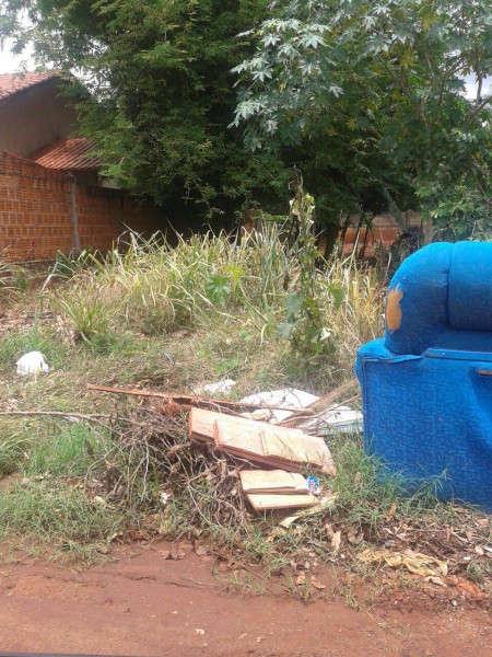 Foto: leitor disse que sujeira e o famoso sofá azul já atrairam até jararaca
