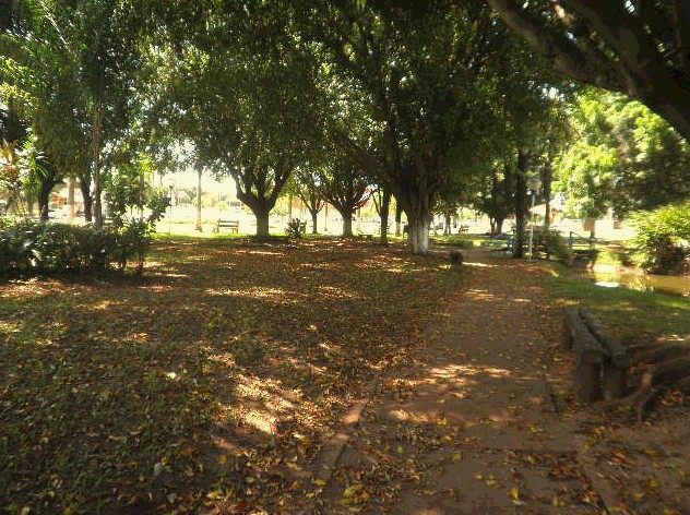 Parque Elza Vendrame - um recanto de paz no centro da cidade