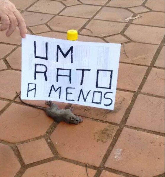 Um rato a menos na praça São José, informa um leitor pelo WhatsApp. 