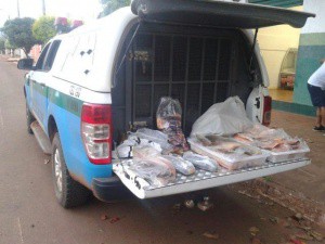 Empresário é preso com pescado ilegal no último dia da Piracema 