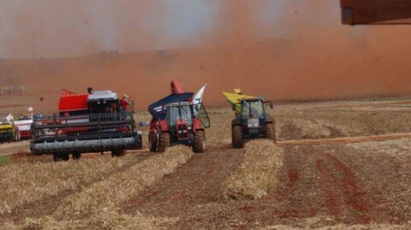 Brasil repensa proibição de posse de terras por estrangeiros