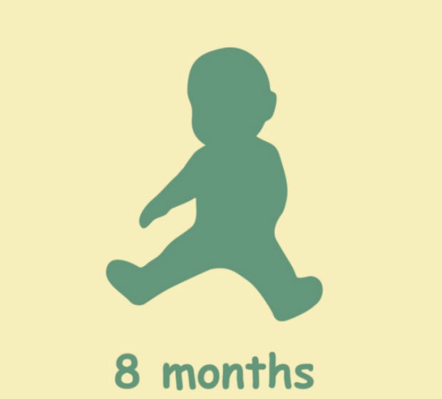 Com 8 meses, ele já pode sentar sozinho e começa a ter um olhar horizontal.