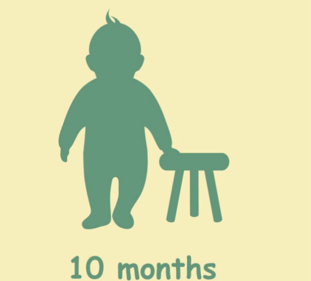 Com 10 meses, provavelmente ele já estará ficando em pé apoiando em móveis e pessoa.
