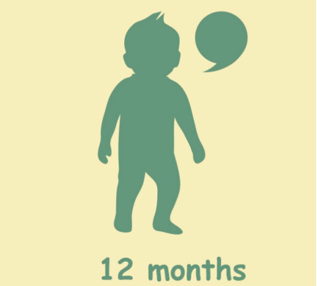 E, finalmente com 12 meses, ele já pode estar andando sozinho. “Antes de segurar pelas mãozinhas para estimular, deixe que a criança se segure e se aventure sozinha”, orienta o pediatra.