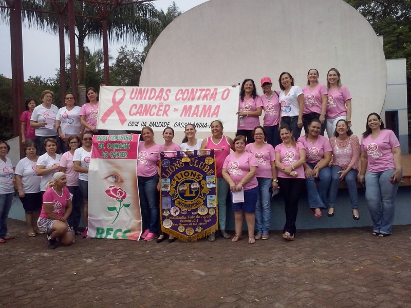 Fotogaleria: entidades na foto oficial da passeata contra o câncer de mama