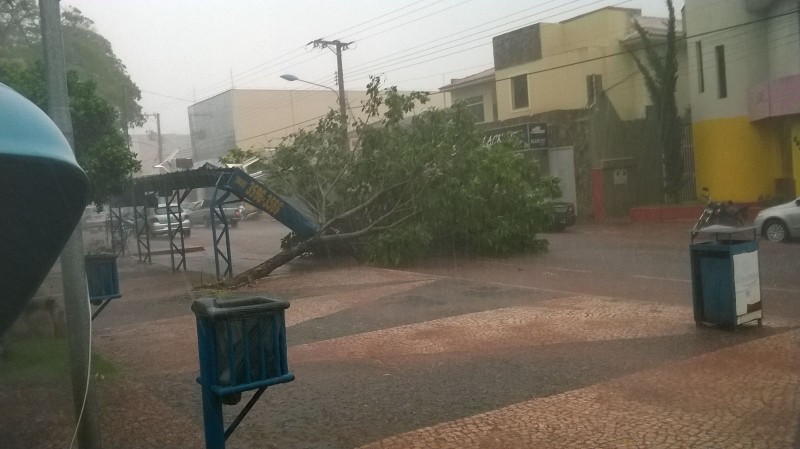 Temporal que cai neste momento em Cassilândia, derrubou uma árvore da Praça Central sobre o ponto de Moto-Táxi.