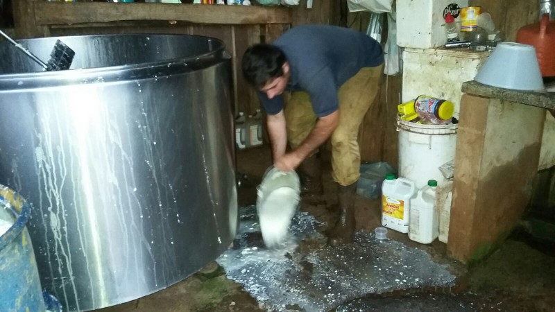 Produtor rural tendo que jogar fora 400 litros de leite por falta de energia em seu sítio.