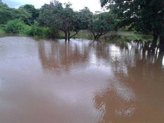 Com as chuvas da última semana nivel do rio subiu e nesta terça-feira transbordou. (Foto: Hemerson Buiu/Fronteira News)