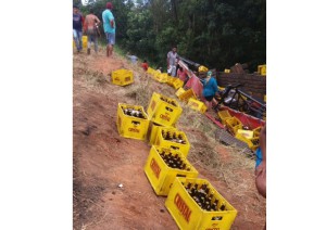 Populares saqueiam carga de cerveja na margem da MS 306, na Laje. Foto: Internauta colaborador