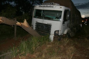 O caminhão, carregado com cabo de vassoura saiu da pista e bateu em uma árvore. Foto Jovem Sul News