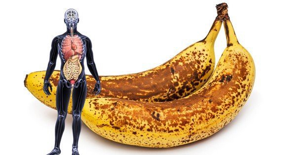 O que acontece se comer duas bananas com manchas marrons por dia durante um mês
