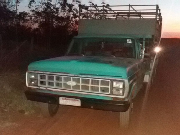 Caminhão furtado em SP seria usado para furto de gado em MS, diz polícia