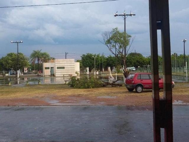 Chuva trouxe alívio, mas também derrubou árvores e destelhou casas em Porto Murtinho (Foto: Direto das Ruas)