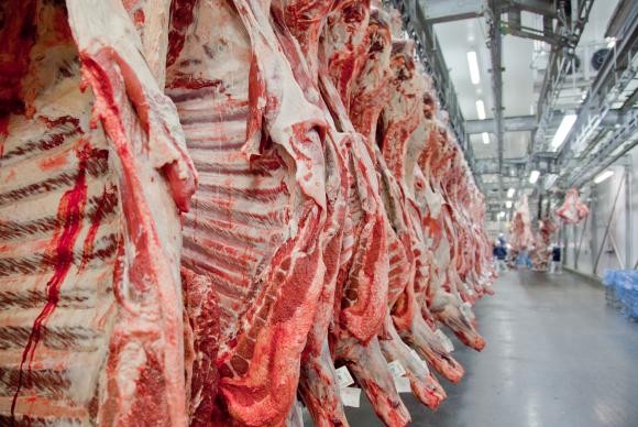 O Brasil tem hoje 215 milhões de cabeças de gado e produz 9,5 milhões de toneladas de carne bovina -Divulgação/Abiec