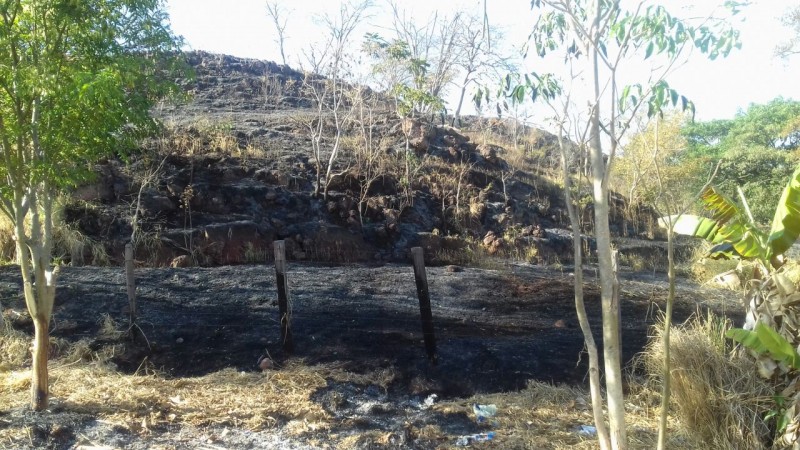 O repórter Hermezes Côrtes foi ao local do fogo, na manhã de hoje, e disse que se aproximou de residências.  Foto mostra visão parcial da parte atingida pelo fogo, que subiu a serra.