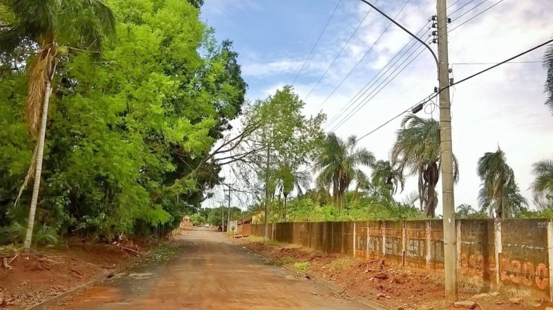 Rua da Servidão, nas proximidades da horta do Vicente, árvore caída na rede de alta tensão. Foto Manoel Leal