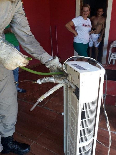 Cobra é retirada do ar condicionado (Foto: Corpo de Bombeiros/ Divulgação)