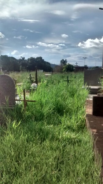 A leitora Natália está indignada com a manutenção do cemitério municipal