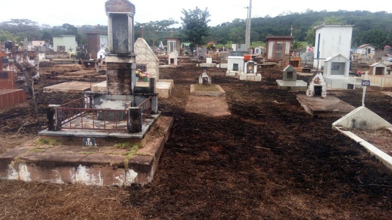 O fogo atingiu boa parte do setor antigo do cemitério. Começou na tarde de ontem, segundo testemunha.