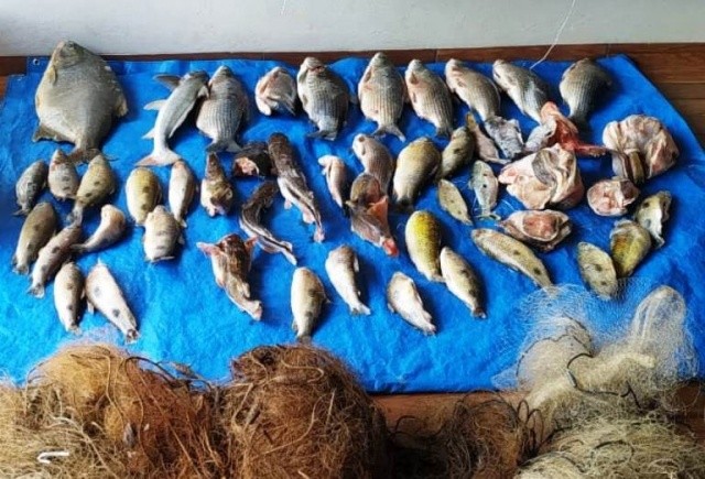 Pescado ilegal e petrechos de pesca foram apreendidos pela PMA na operação. (Divulgação)