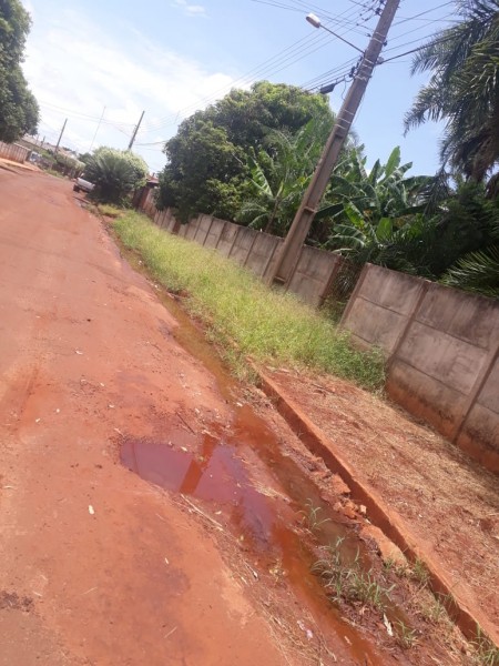 Dengue: leitor manda foto e denuncia situação de rua na Vila Pernambuco