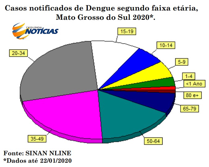 Dengue: confira os casos de dengue conforme a faixa etária