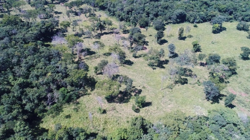 Foto: PMA de Cassilândia autua goiano por desmatamento de reserva legal