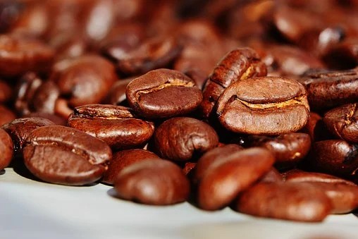 Epamig prepara sementes de café para comercialização  