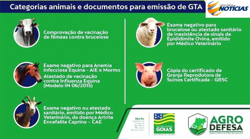Agrodefesa orienta empresas e organizadores sobre realização de leilões em Goiás